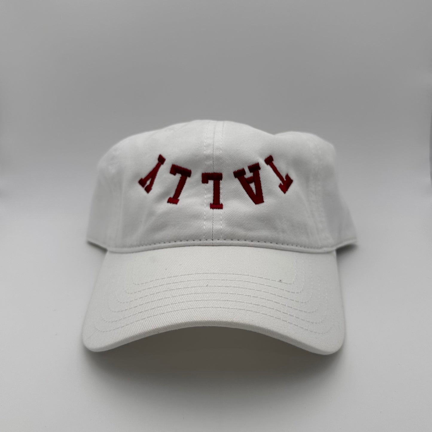The Tally Dad Hat - White
